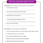 20 Fixing Sentences Worksheets Worksheet From Home