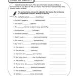 Choose The Adjective 1st Grade Adjective Worksheets
