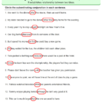 Identify The Subordinating Conjunction In The Sentence Worksheet
