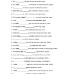 Irregular Verbs sentences Worksheet