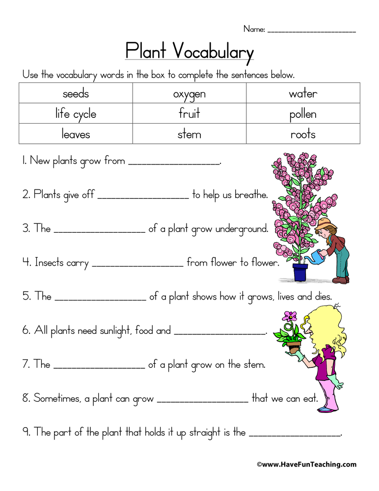 Plant Vocabulary Worksheet Have Fun Teaching