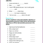 Possessive Pronouns Quiz For Grade 2 Worksheet Resume Examples