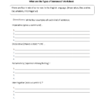 Sentences Worksheets Types Of Sentences Worksheets