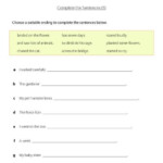 Year 2 Literacy Sentence work Printable Resources Free Worksheets