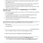APPOSITIVE PHRASES PRACTICE 1 7 The Monster Ate My Little