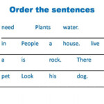 Ejercicio De Order The Sentences