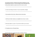 Grade 5 Grammar Lesson 1 Parts Of Speech Good Grammar Grammar Grade 5