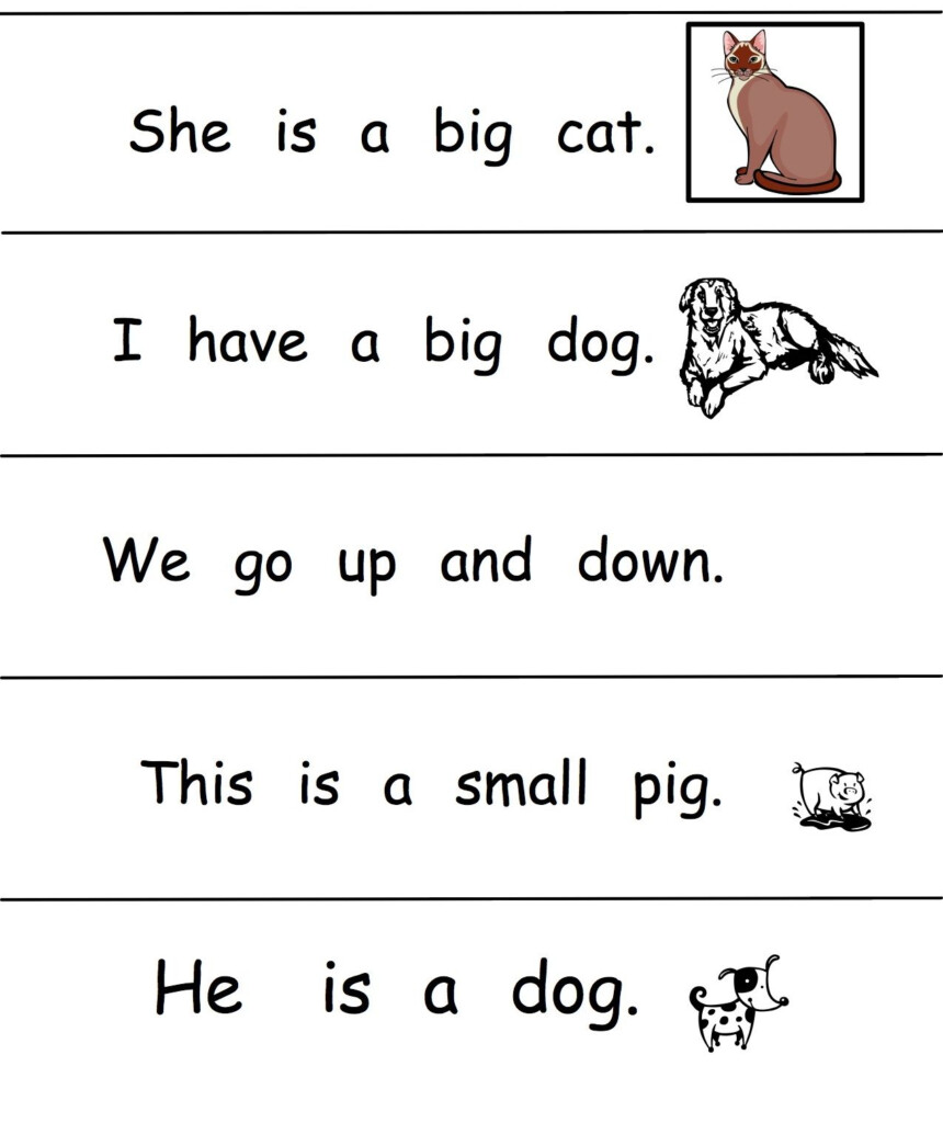 Growing Readers Kindergarten Sight Word Sentences Sight Words Kindergarten Sight Word 