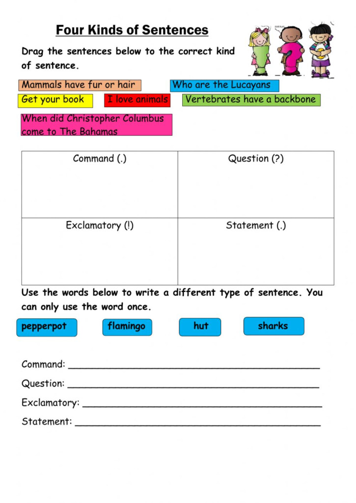 Kinds Of Sentences Exercise
