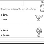 Simple Sentences Worksheet Pdf