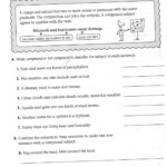 Subjects And Predicates Worksheet