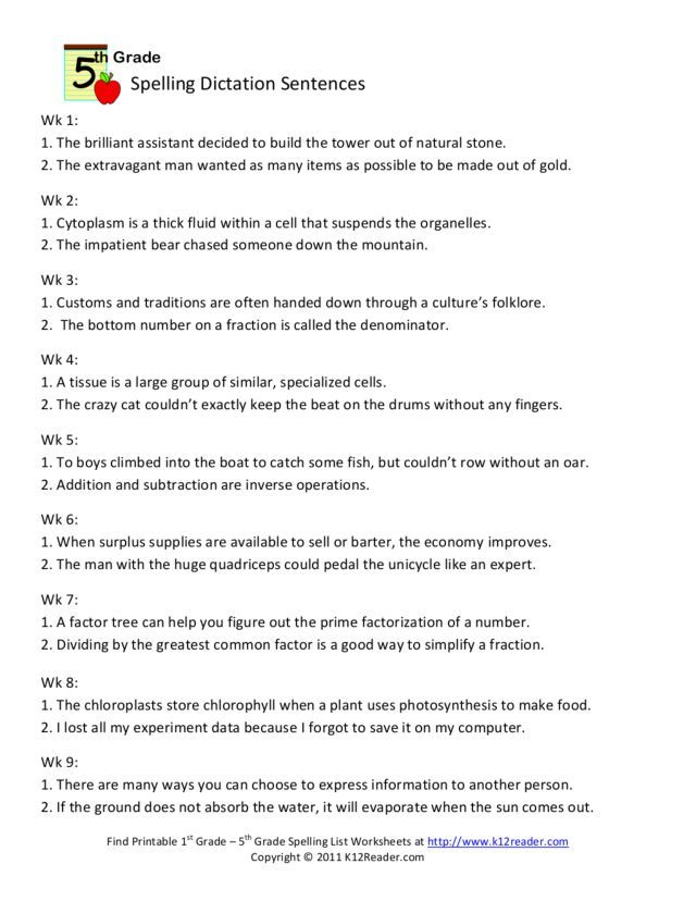 5Th Grade Sentences Worksheet
