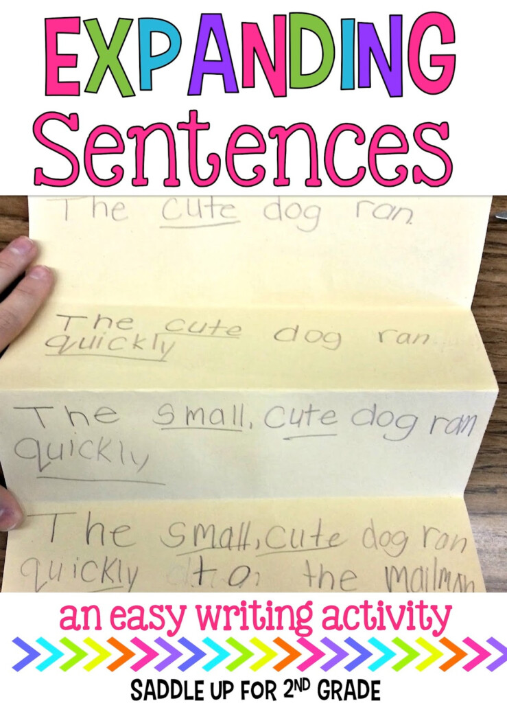 Expanding Sentences Saddle Up For Second Grade