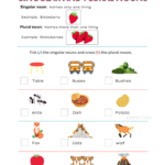 Find Singular And Plural Nouns Printable Worksheets For Grade 1 Kidpid