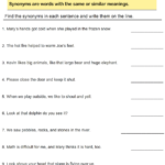 Find Synonyms In A Sentence Turtle Diary Worksheet
