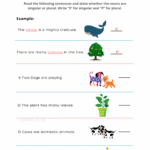 Identify Singular And Plural Nouns Printable Worksheets For Grade 1