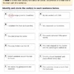 Identify The Verbs In A Sentence Worksheet Turtle Diary