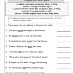 Noun Singular And Plural Worksheet