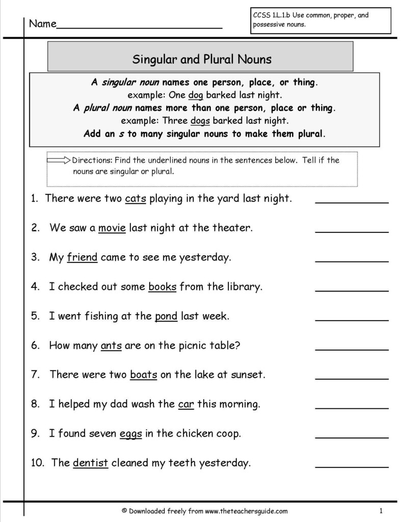 Noun Singular And Plural Worksheet