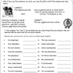 Subject And Verb Agreement Worksheets