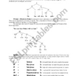 Syntax Tree Diagram ESL Worksheet By Ronykim