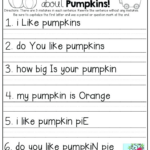 Writing Sentences 2nd Grade